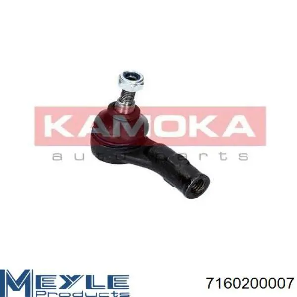 Наконечник рулевой тяги Raiso RL110015F