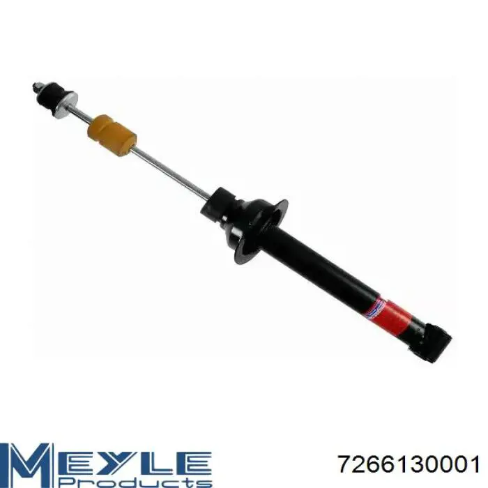 Compre RS115481 Raiso Amortecedor dianteiro