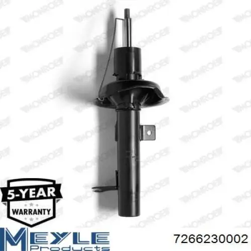 Амортизатор передней подвески левой Raiso RS230710 цена, от 33.22 USD