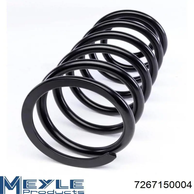 Амортизатор задний 272560 Boge