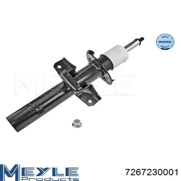 RS312939 Raiso Амортизаторы задние