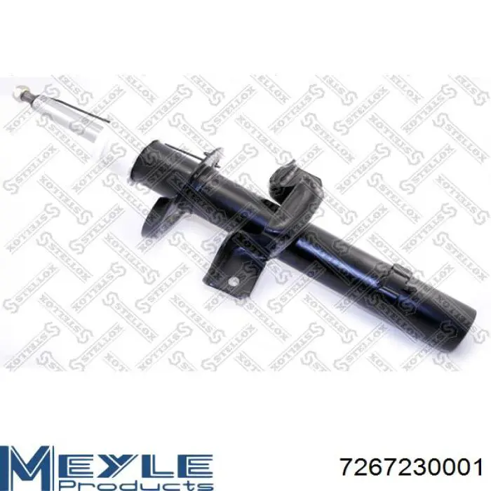 Стойка амортизатора задняя Raiso RS312939 цена, от 36.99 USD