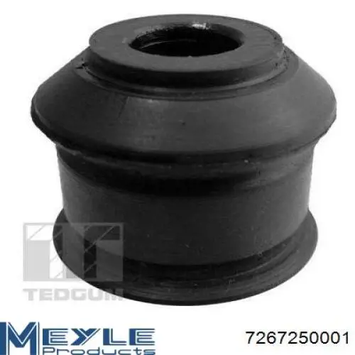 Стойка амортизатора задняя Raiso RS230713 цена, от 20.34 USD