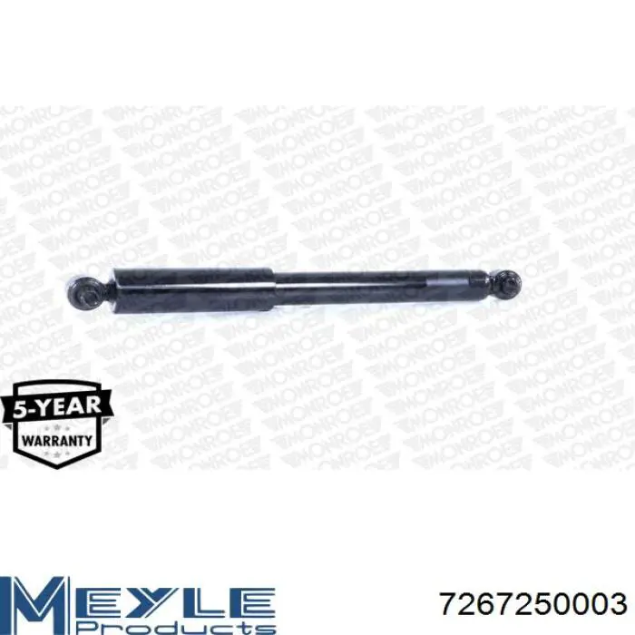 Стойка амортизатора задняя Raiso RS280355 цена, от 19.28 USD