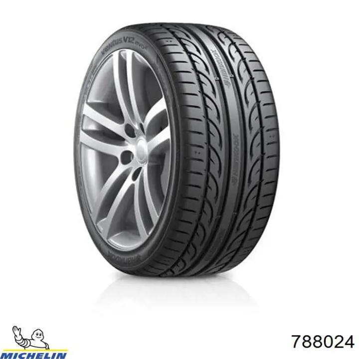 Шины зимние 788024 Michelin