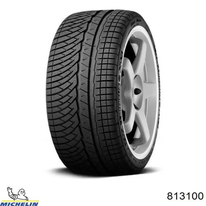 Купить 813100 Michelin Резина зима