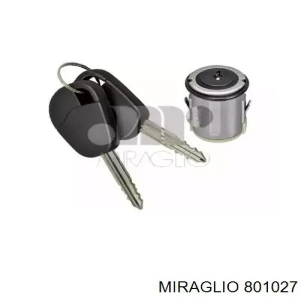  801027 Miraglio