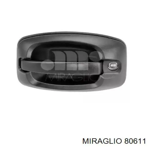 350105019100 Magneti Marelli ручка двери задней (распашной правая наружная)