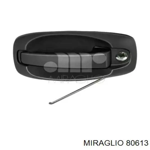 350105021900 Magneti Marelli ручка двери боковой (сдвижной наружная левая)