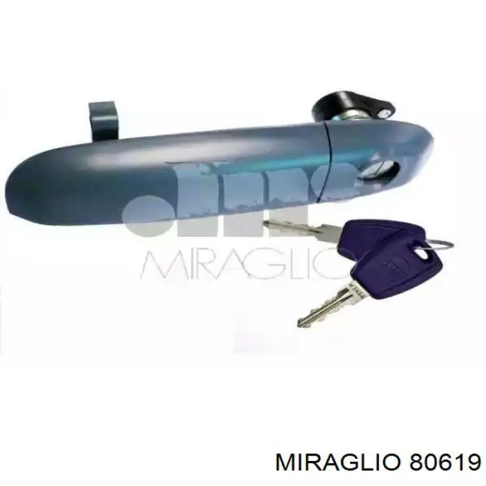 Купить ZR80619 Electric Life 