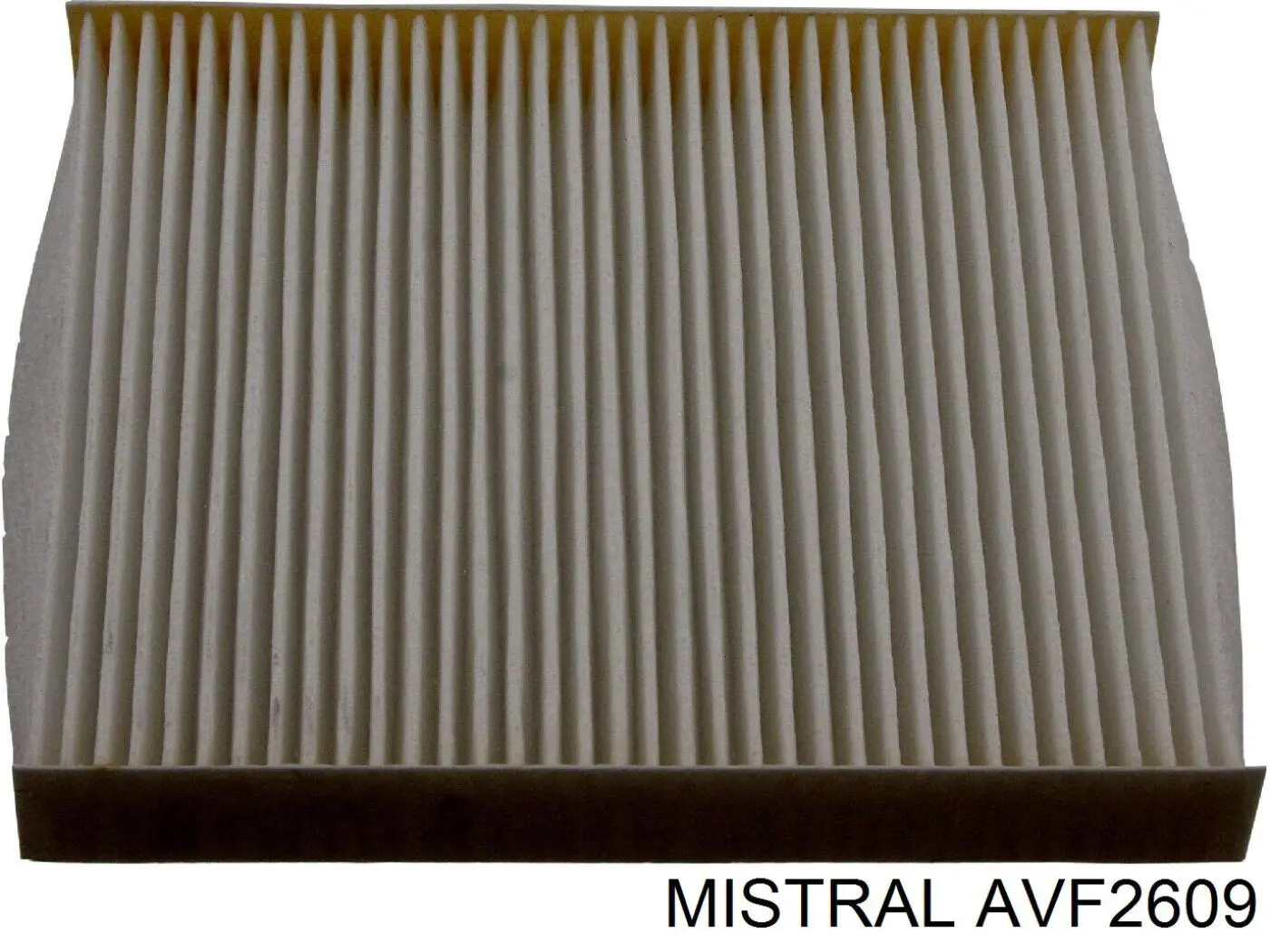 AVF2609 Mistral Внутрисалонный фильтр