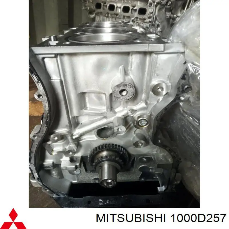  1000D257 Mitsubishi