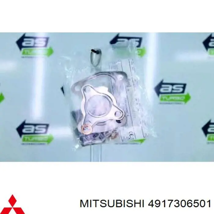 4917306501 MSG Rebuilding Turbina