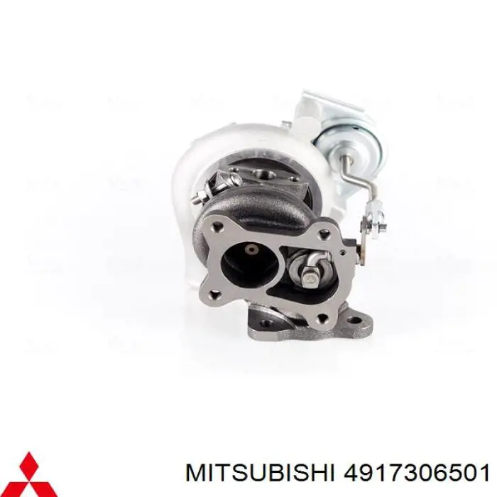Turbina MSG Rebuilding 4917306501