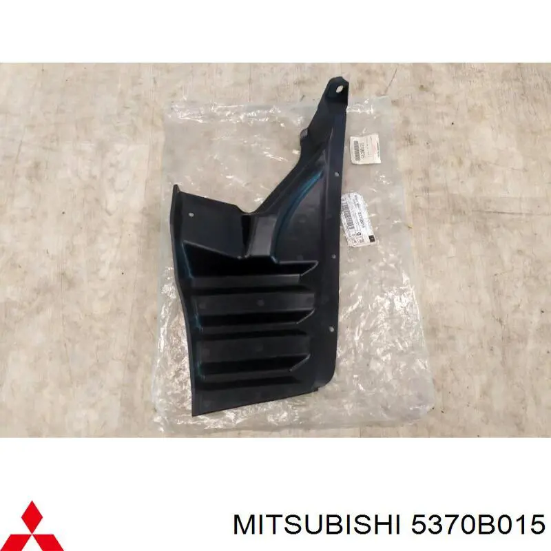 Guarda-barras esquerdo traseiro do pára-lama traseiro para Mitsubishi Outlander (GF, GG)