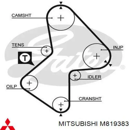 Correa distribucion M819383 Mitsubishi