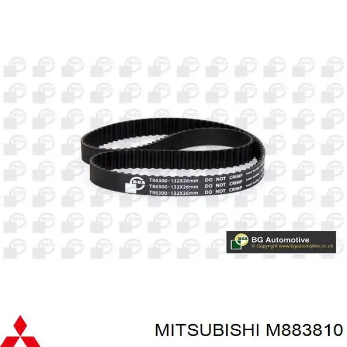 Correa distribucion M883810 Mitsubishi