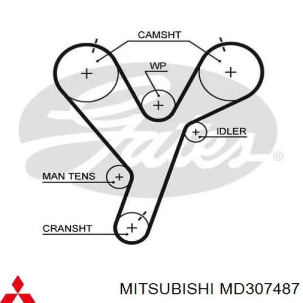 Купить MD307487 Mitsubishi Ремень газораспределительного механизма