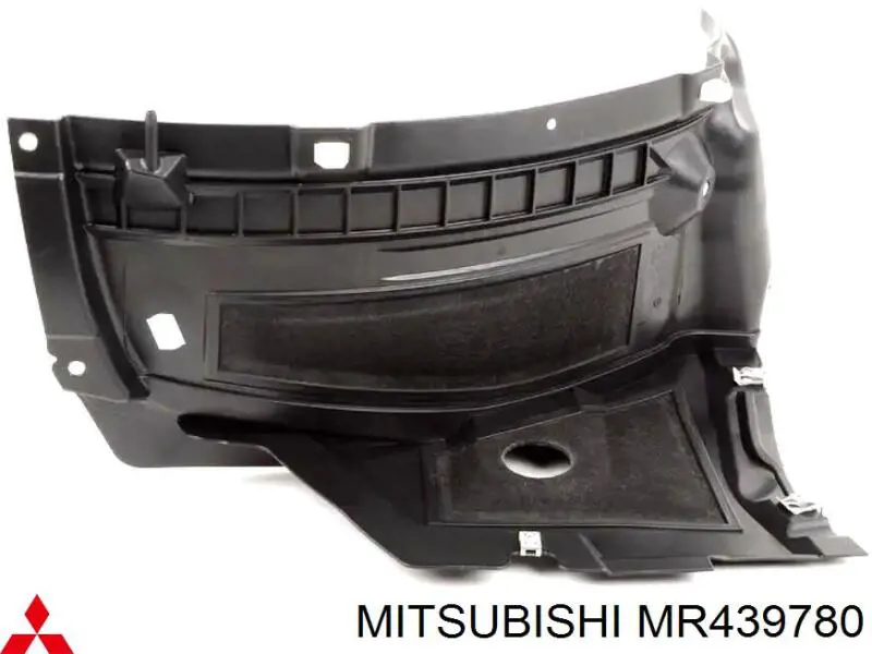 Guarda-barras direito do pára-lama dianteiro para Mitsubishi Space Wagon (N8_, N9_)