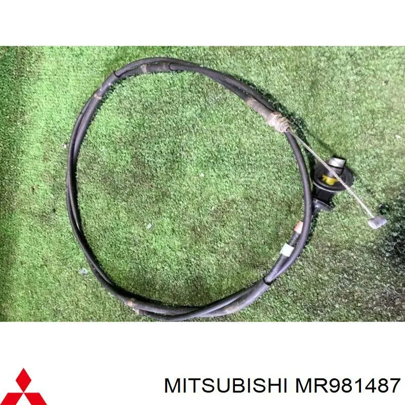 Купить MR981487 Mitsubishi 