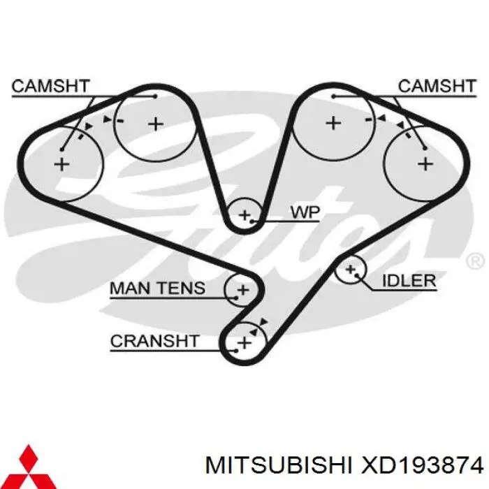 Correa distribucion XD193874 Mitsubishi