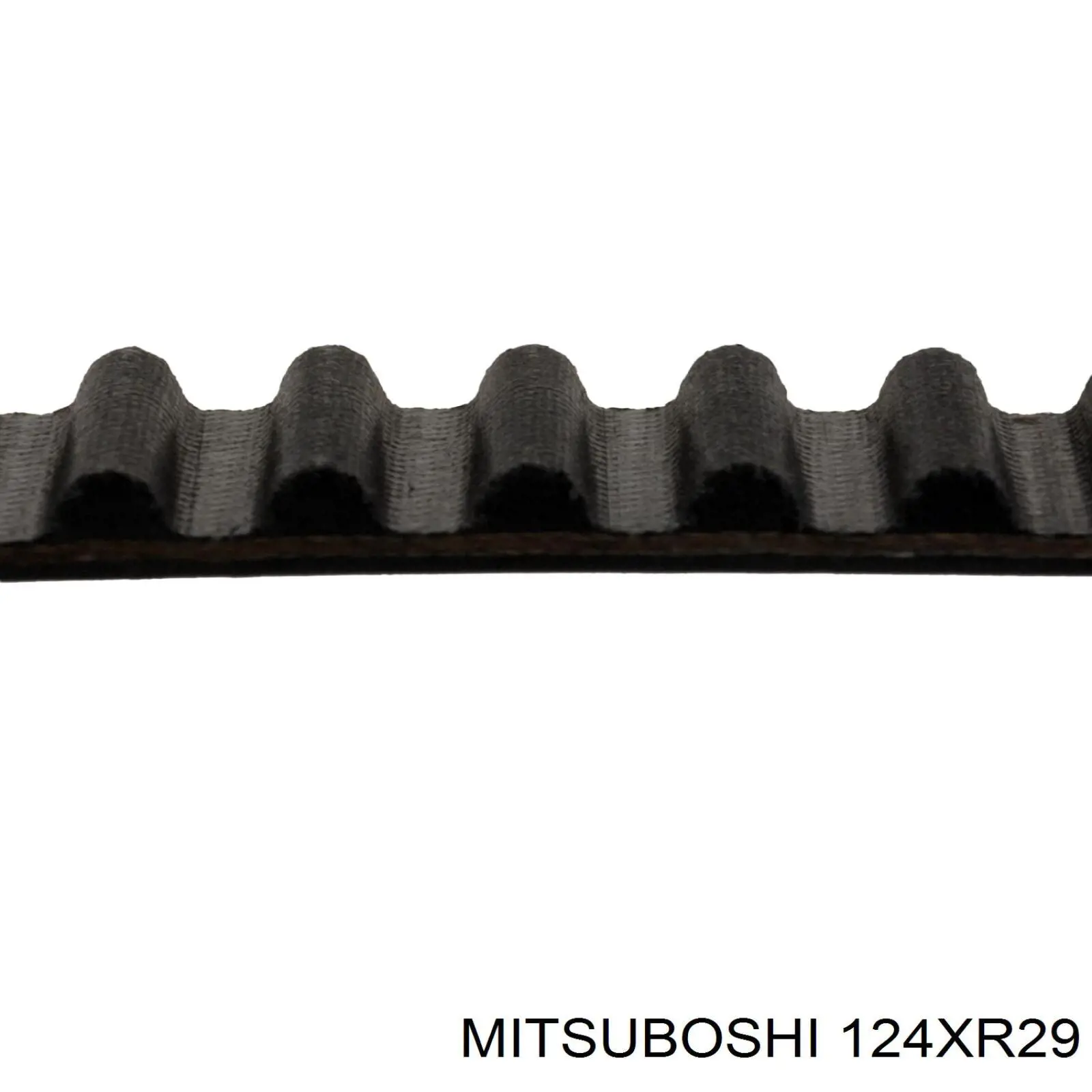 124XR29 Mitsuboshi