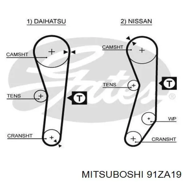 Correa distribucion 91ZA19 Mitsuboshi