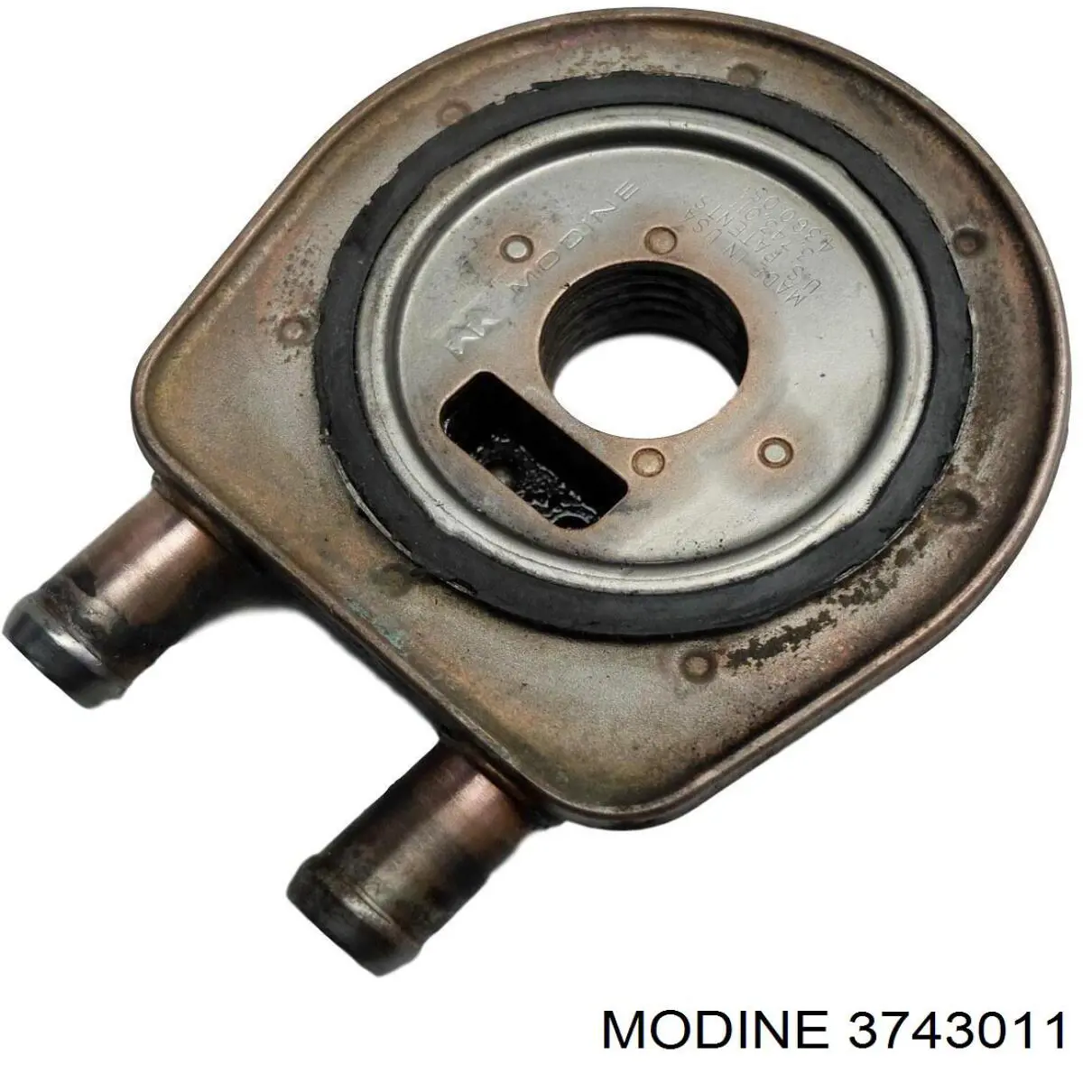  3743011 Modine