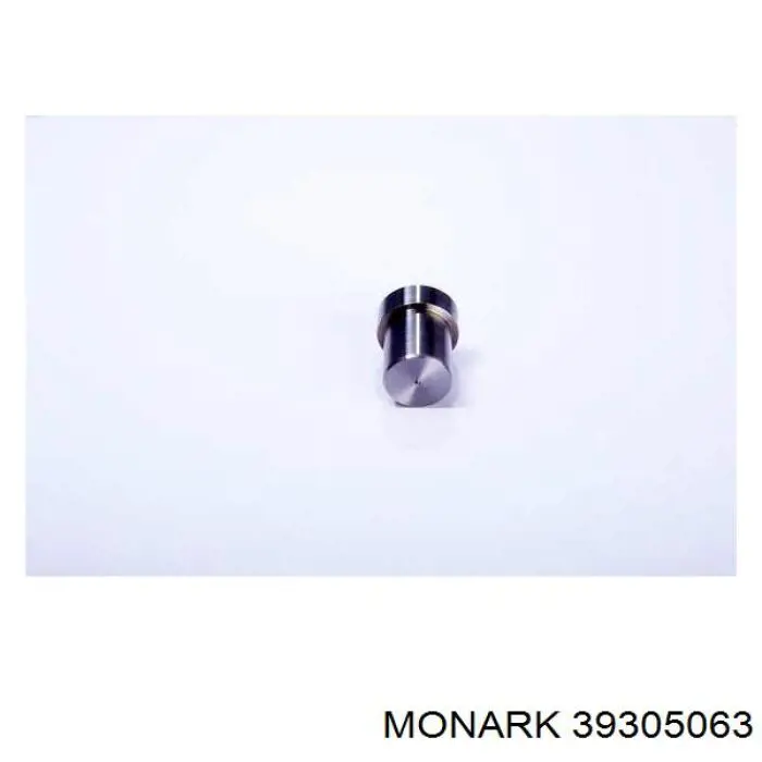 Распылитель форсунки 39305063 Monark