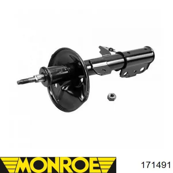 Амортизатор передней подвески левой Raiso RS313630 цена, от 41.95 USD