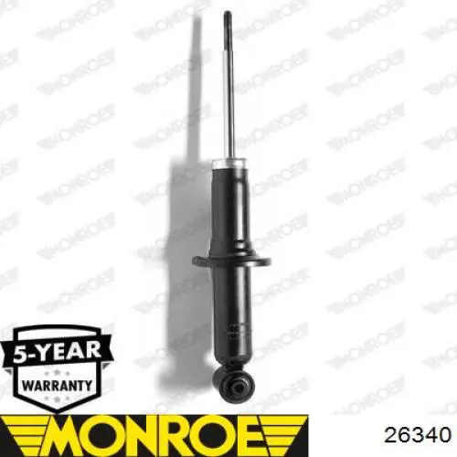 RS556281 Raiso Амортизаторы задние
