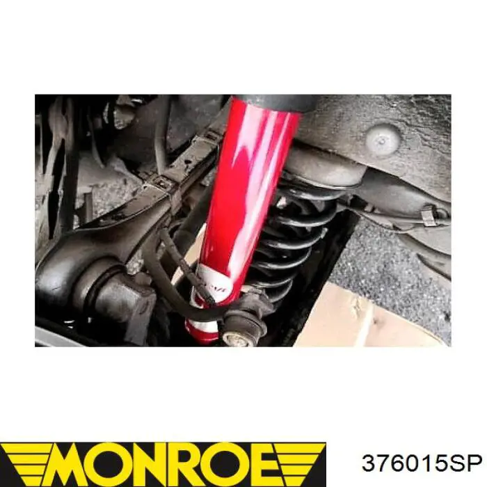 Амортизатор задний RS314876 Raiso