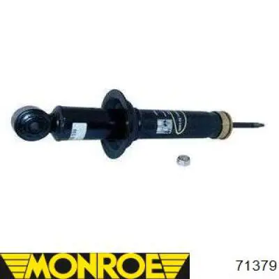 RS317601 Raiso Амортизаторы задние