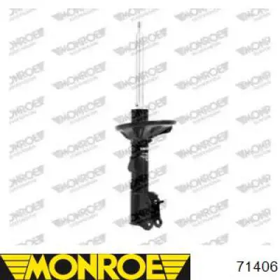 Амортизатор задний правый RS317605 Raiso
