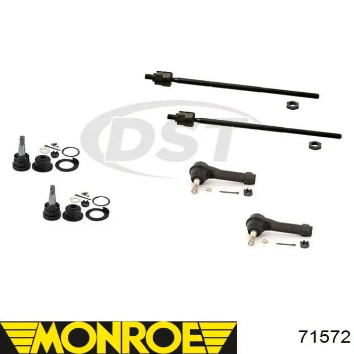 Амортизатор передний RS310202 Raiso