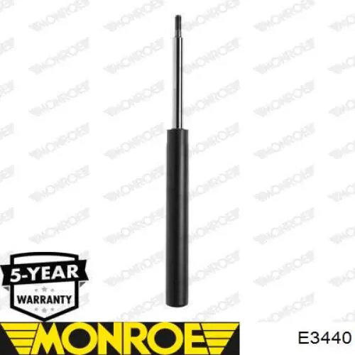 Амортизатор передний RS170607 Raiso