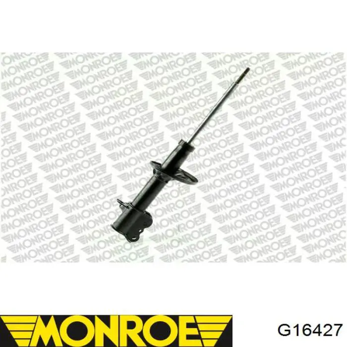 G16427 Monroe