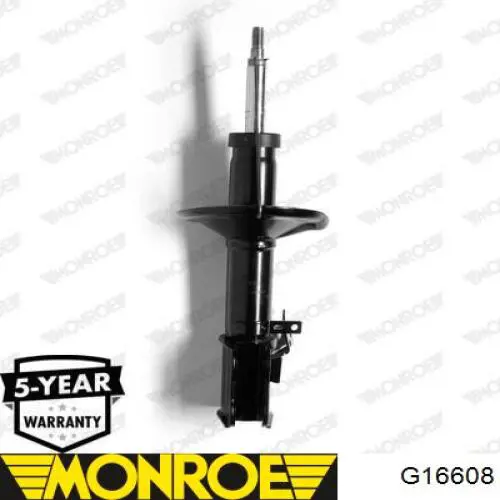 RS290519 Raiso Амортизатор передней подвески правый