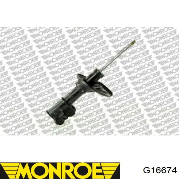 G16674 Monroe