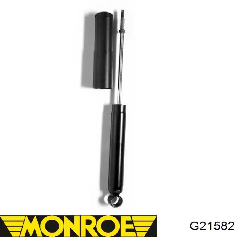 G21582 Monroe