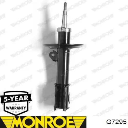 Амортизатор передней подвески левой Raiso RS314757 цена, от 34.95 USD