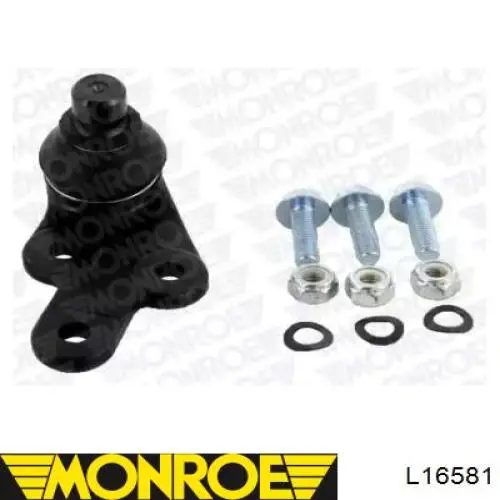L16581 Monroe