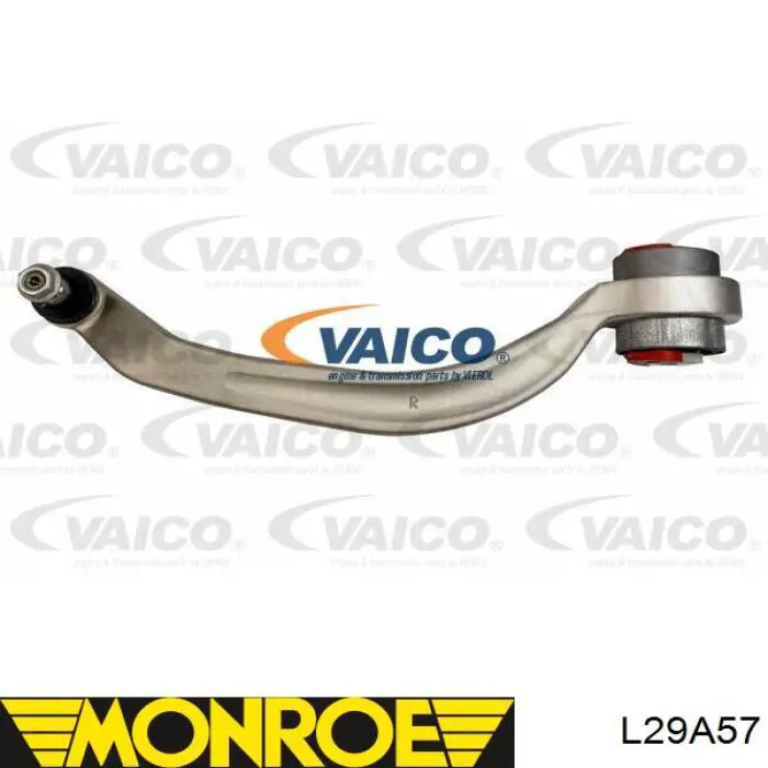 L29A57 Monroe