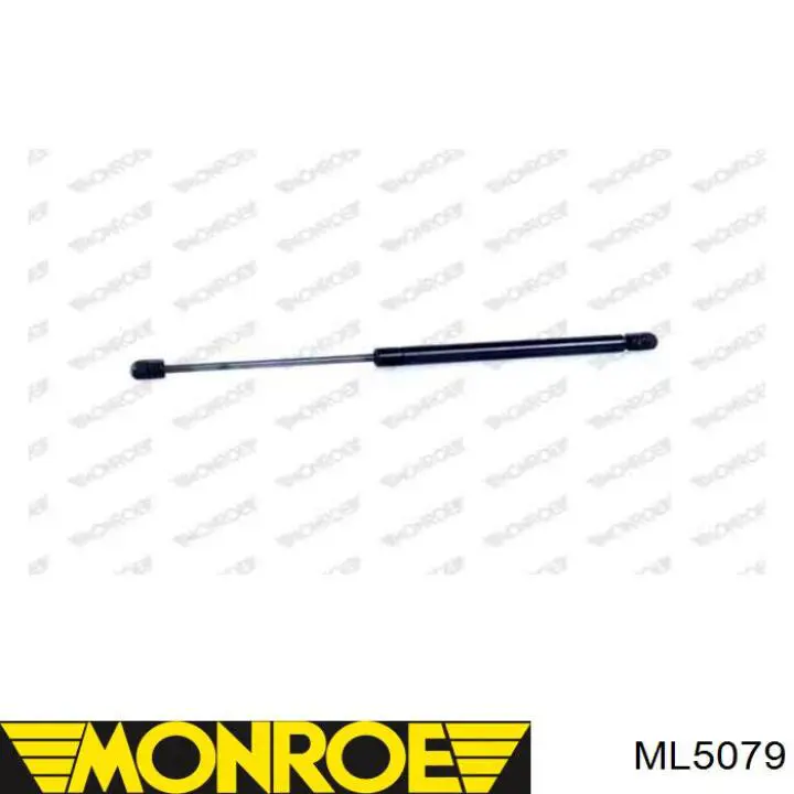 ML5079 Monroe