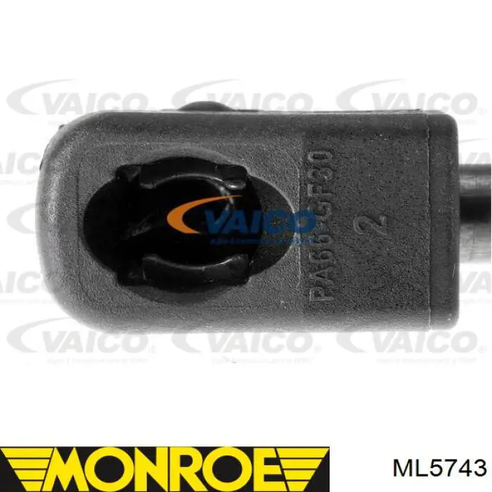 Амортизатор багажника ML5743 Monroe