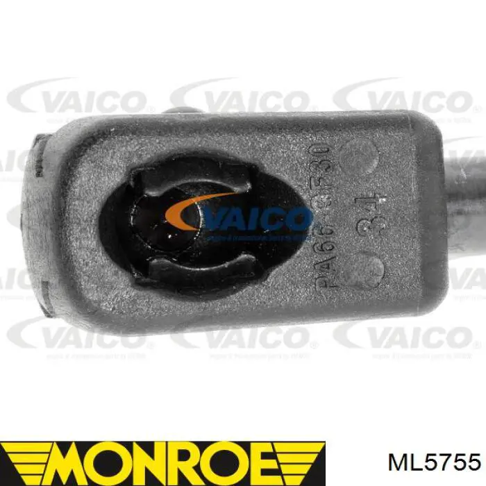 Амортизатор задней двери Monroe ML5755 цена, от 11.71 USD