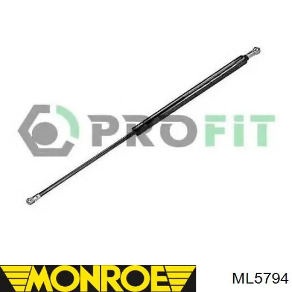 Амортизатор задней двери Magneti Marelli 430719085900 цена, от 11.62 USD