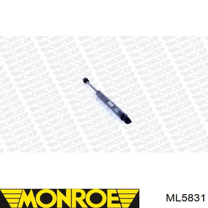 ML5831 Monroe