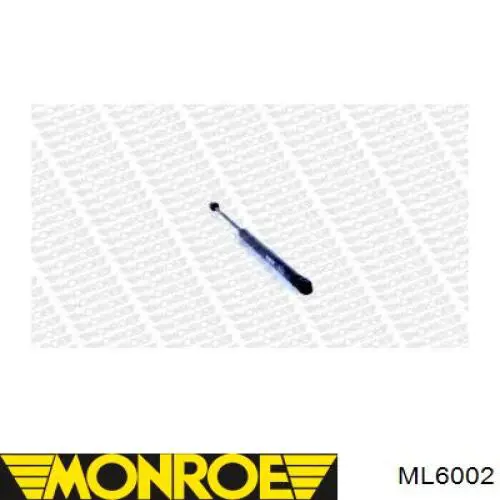 ML6002 Monroe