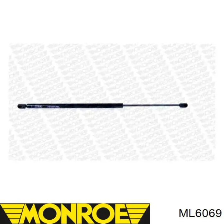 ML6069 Monroe amortecedor da capota